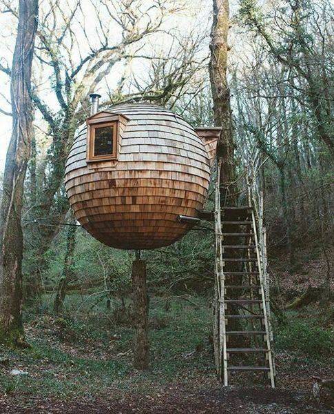 daily picdump weekend edition 61 pics 3.html - 61 HD Photos | Premium Gallery 2016