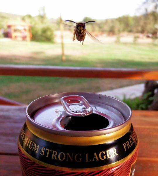 daily picdump weekend edition 61 pics 3.html - 61 HD Photos | Premium Gallery 2016