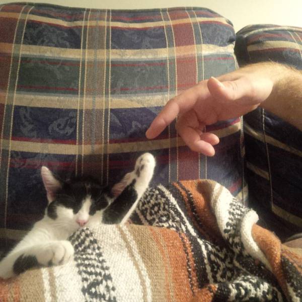 daily picdump weekend edition 61 pics 3.html - 61 HD Photos | Premium Gallery 2016