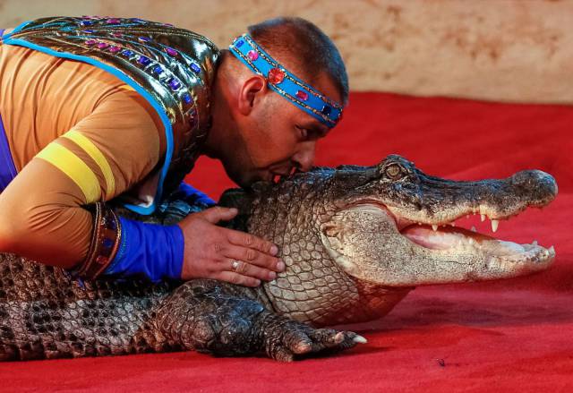 daily picdump weekend edition 61 pics 3.html - 61 HD Photos | Premium Gallery 2016