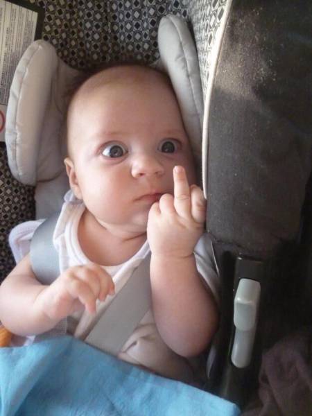 daily picdump weekend edition 61 pics 3.html - 61 HD Photos | Premium Gallery 2016