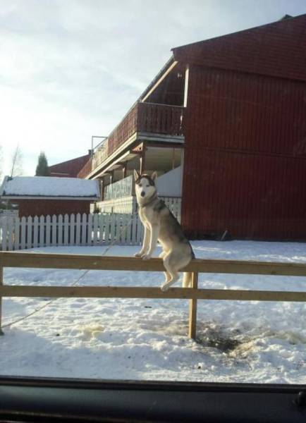 daily picdump 93 pics 38.html - 93 HD Photos | Premium Gallery 2016