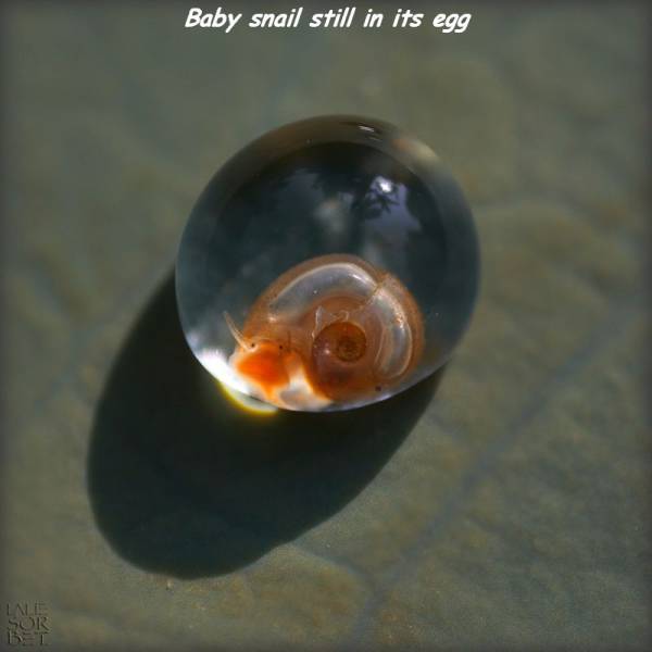 daily picdump 93 pics 38.html - 93 HD Photos | Premium Gallery 2016