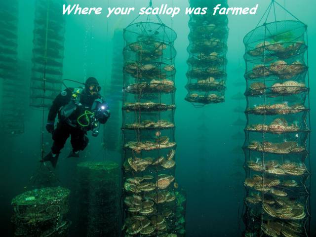 daily picdump 93 pics 38.html - 93 HD Photos | Premium Gallery 2016