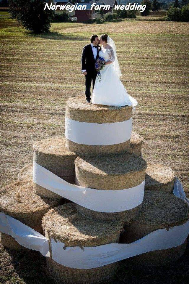 daily picdump 93 pics 38.html - 93 HD Photos | Premium Gallery 2016