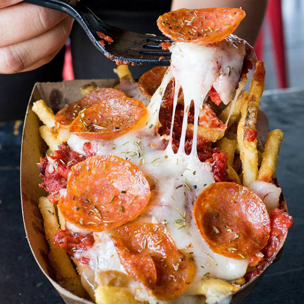 The Level of Awesomeness Is So Damn High