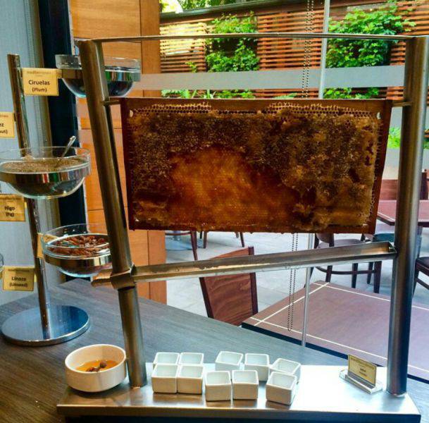 The Level of Awesomeness Is So Damn High