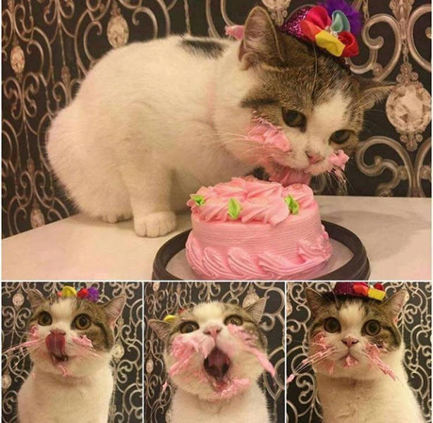 The Level of Awesomeness Is So Damn High