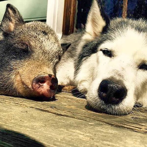 The Level of Awesomeness Is So Damn High