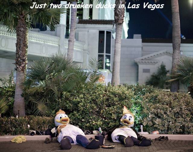 daily picdump 94 pics 42.html - 94 HD Photos | Premium Gallery 2016