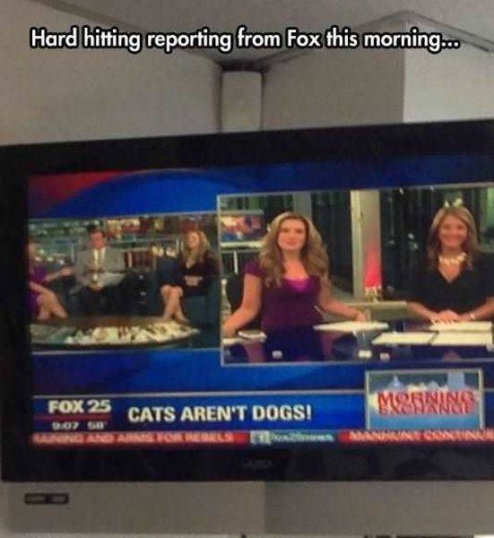 daily picdump 94 pics 42.html - 94 HD Photos | Premium Gallery 2016