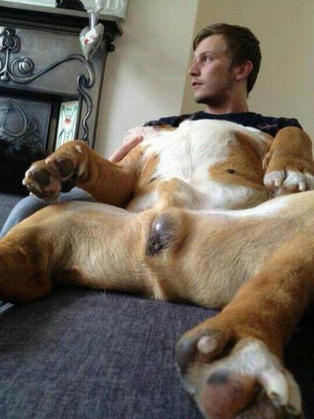 daily picdump 94 pics 42.html - 94 HD Photos | Premium Gallery 2016