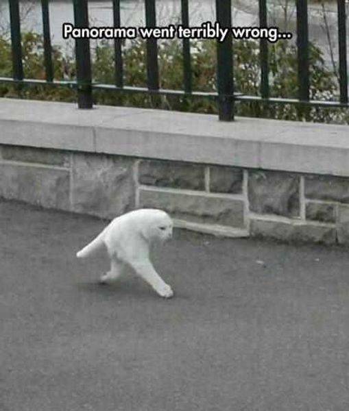 daily picdump 94 pics 42.html - 94 HD Photos | Premium Gallery 2016