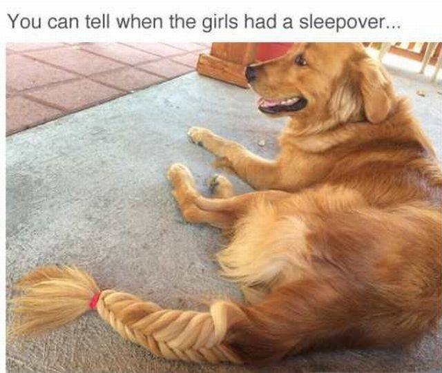 daily picdump 94 pics 42.html - 94 HD Photos | Premium Gallery 2016