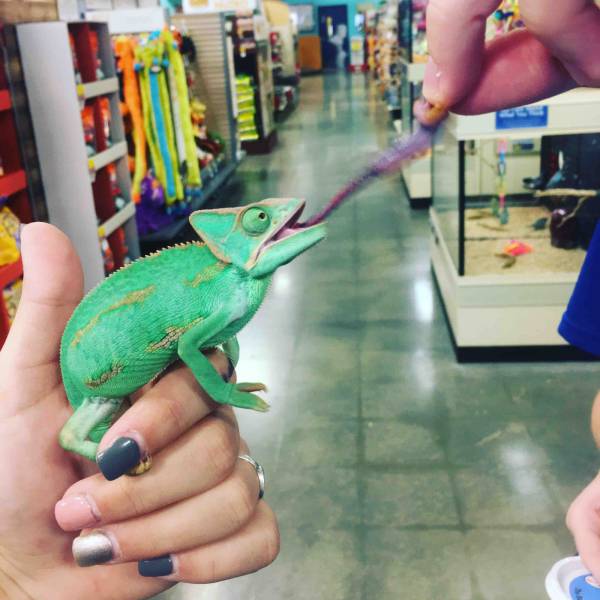 daily picdump 94 pics 42.html - 94 HD Photos | Premium Gallery 2016