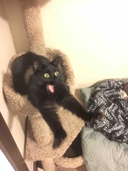 morning picdump 54 pics 25.html - 54 HD Photos | Premium Gallery 2016