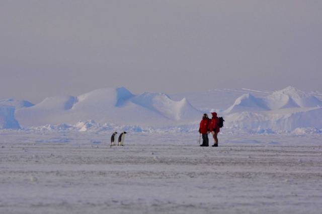 morning picdump 54 pics 25.html - 54 HD Photos | Premium Gallery 2016