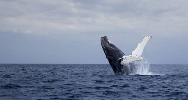 daily picdump 98 pics 48.html - 98 HD Photos | Premium Gallery 2016