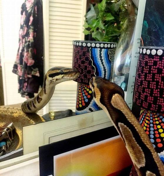 daily picdump 98 pics 48.html - 98 HD Photos | Premium Gallery 2016