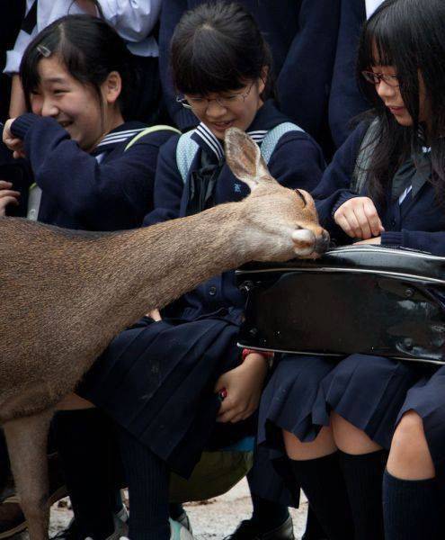 daily picdump 98 pics 48.html - 98 HD Photos | Premium Gallery 2016