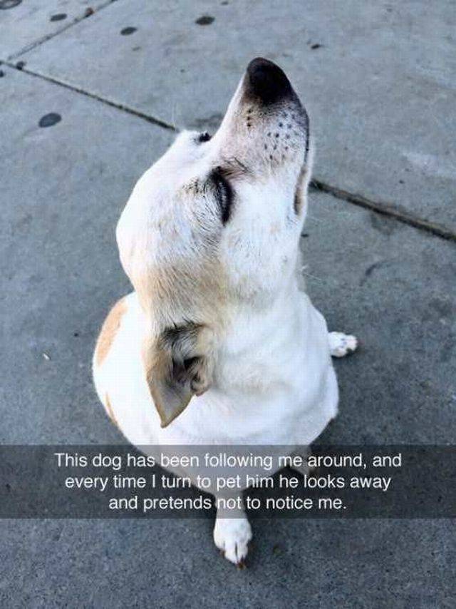 daily picdump 98 pics 48.html - 98 HD Photos | Premium Gallery 2016