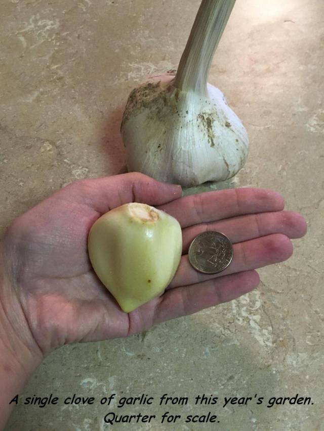 daily picdump 98 pics 48.html - 98 HD Photos | Premium Gallery 2016