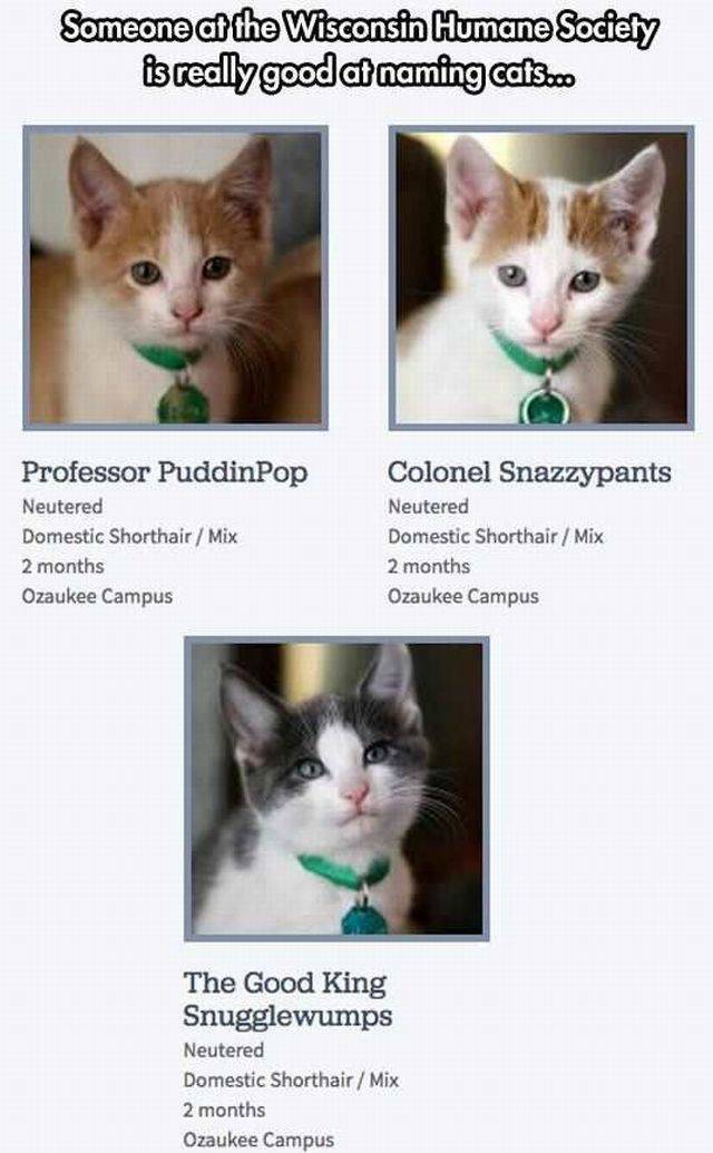 daily picdump 98 pics 48.html - 98 HD Photos | Premium Gallery 2016