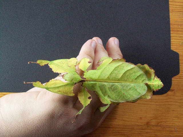 morning picdump 52 pics 17.html - 52 HD Photos | Premium Gallery 2016