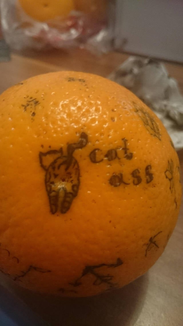 morning picdump 52 pics 17.html - 52 HD Photos | Premium Gallery 2016