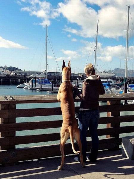 daily picdump 102 pics 16.html - 102 HD Photos | Premium Gallery 2016