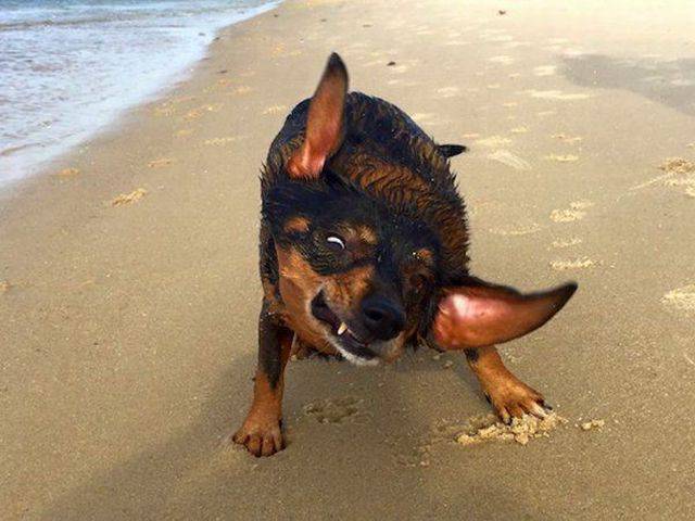 daily picdump 102 pics 16.html - 102 HD Photos | Premium Gallery 2016