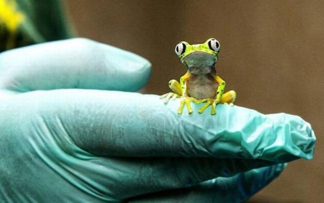 daily picdump 102 pics 16.html - 102 HD Photos | Premium Gallery 2016