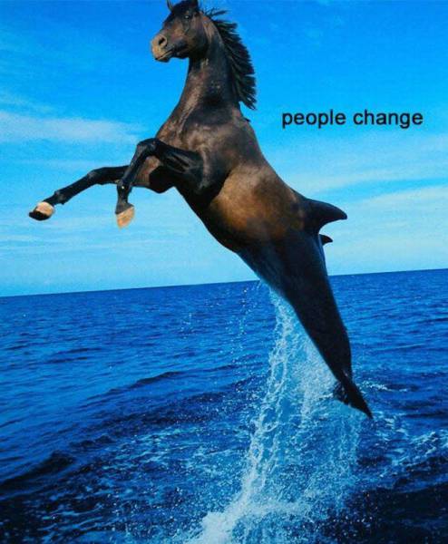 daily picdump 102 pics 16.html - 102 HD Photos | Premium Gallery 2016