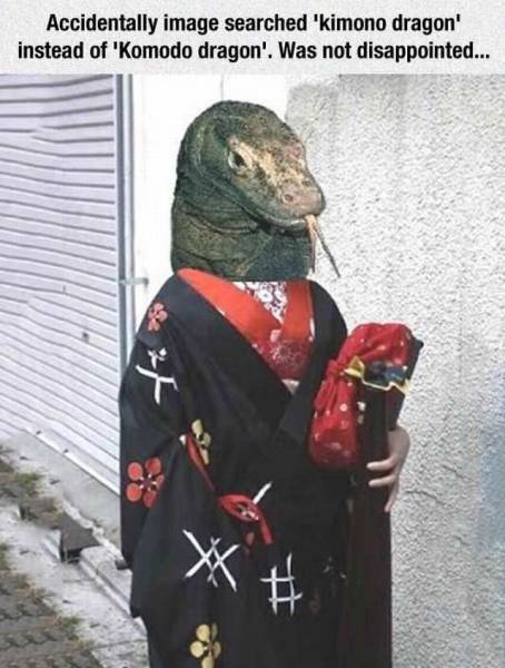 daily picdump 102 pics 16.html - 102 HD Photos | Premium Gallery 2016