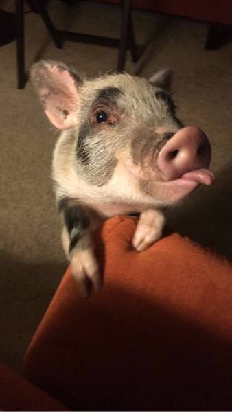 morning picdump 50 pics 2.html - 50 HD Photos | Premium Gallery 2016