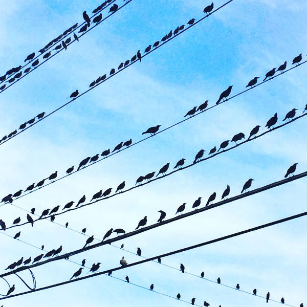 morning picdump 50 pics 2.html - 50 HD Photos | Premium Gallery 2016