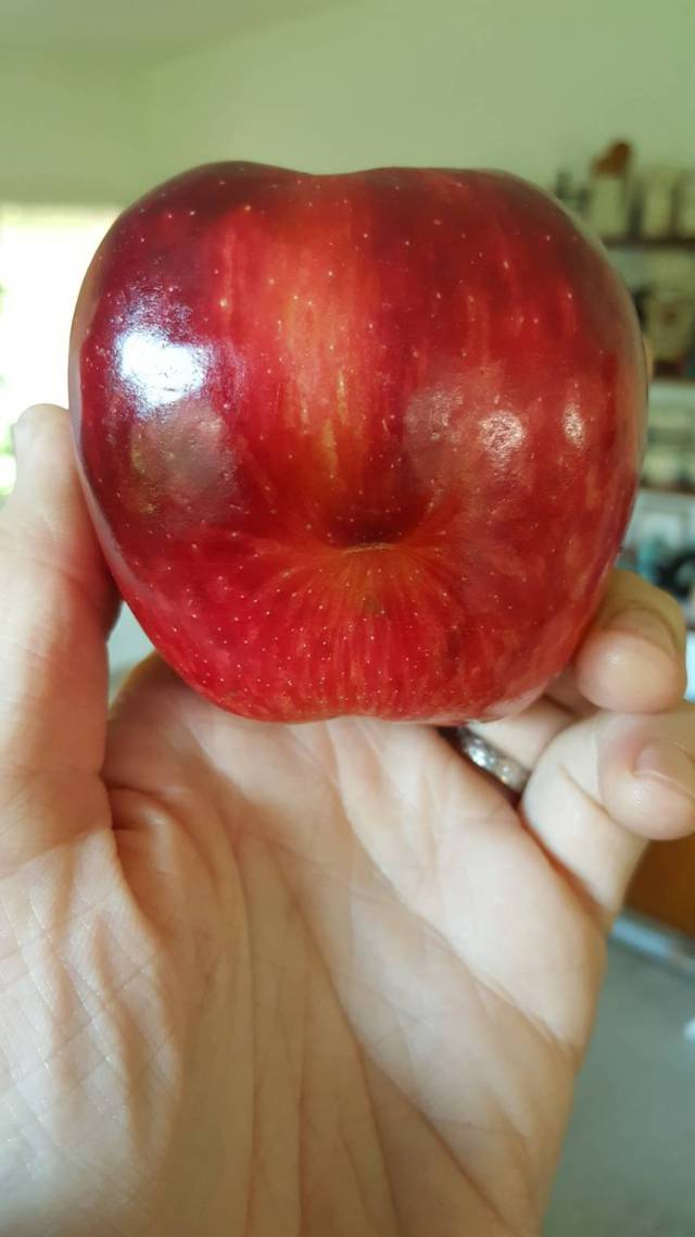 morning picdump 50 pics 2.html - 50 HD Photos | Premium Gallery 2016