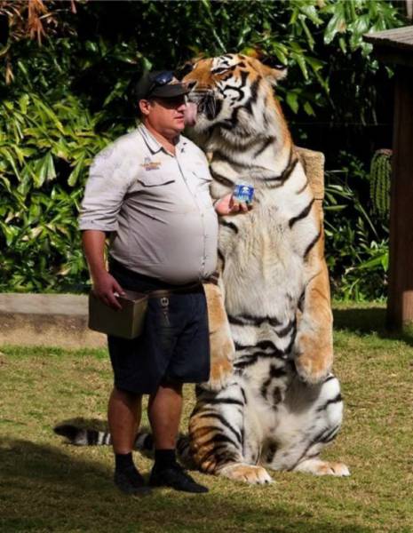 morning picdump 50 pics 2.html - 50 HD Photos | Premium Gallery 2016