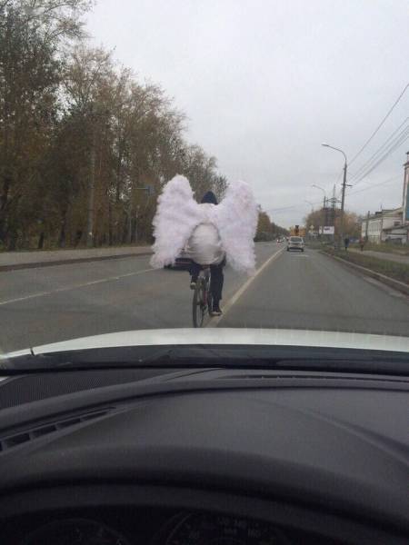 daily picdump 92 pics 45.html - 92 HD Photos | Premium Gallery 2016