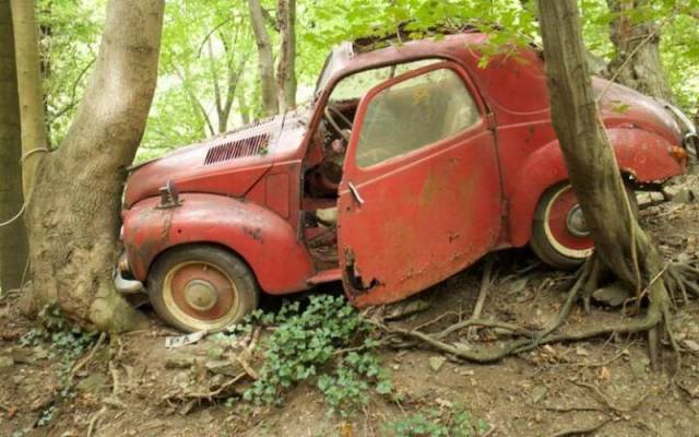 daily picdump 92 pics 45.html - 92 HD Photos | Premium Gallery 2016