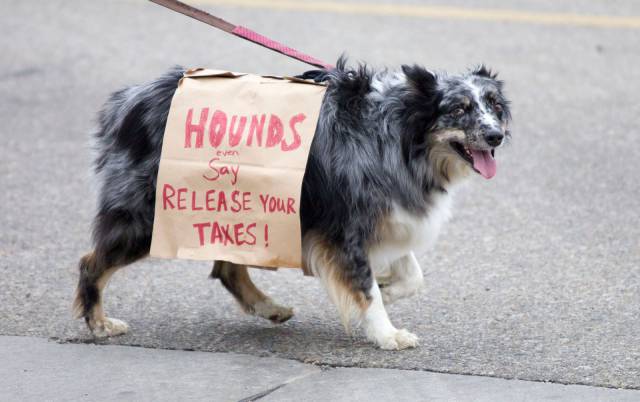 daily picdump 92 pics 45.html - 92 HD Photos | Premium Gallery 2016