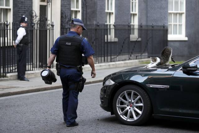 daily picdump 92 pics 45.html - 92 HD Photos | Premium Gallery 2016