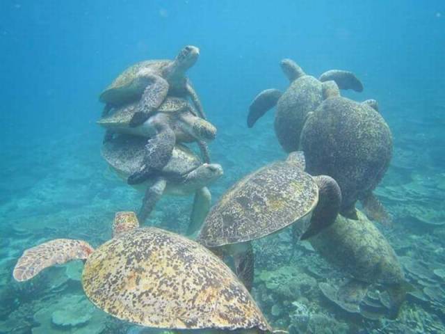 daily picdump 92 pics 45.html - 92 HD Photos | Premium Gallery 2016