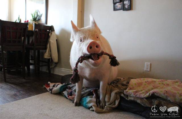 daily picdump 92 pics 45.html - 92 HD Photos | Premium Gallery 2016