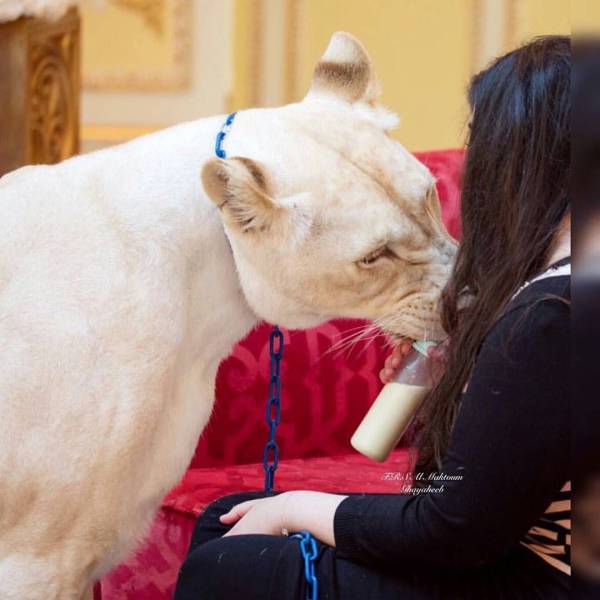 daily picdump 92 pics 45.html - 92 HD Photos | Premium Gallery 2016