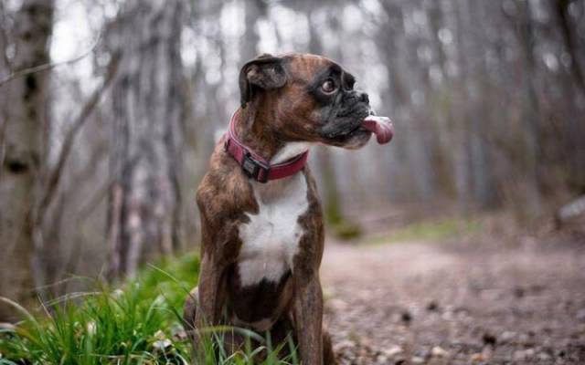 daily picdump 92 pics 45.html - 92 HD Photos | Premium Gallery 2016