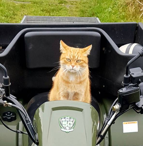 daily picdump 92 pics 45.html - 92 HD Photos | Premium Gallery 2016