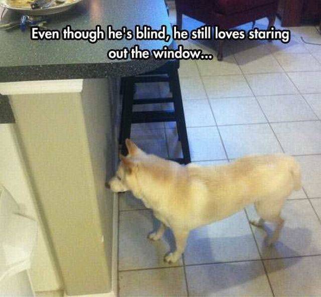 daily picdump 92 pics 45.html - 92 HD Photos | Premium Gallery 2016