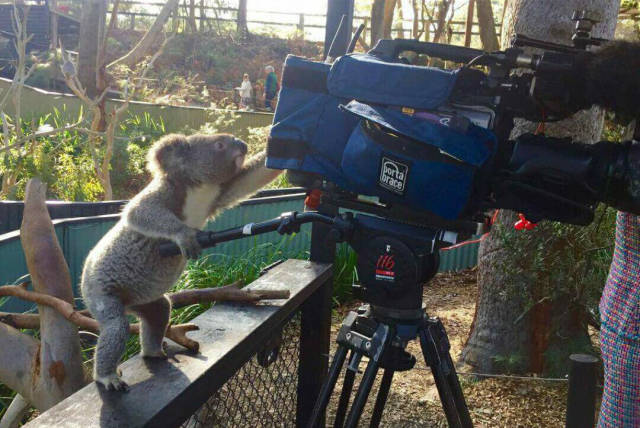 morning picdump 55 pics 24.html - 55 HD Photos | Premium Gallery 2016