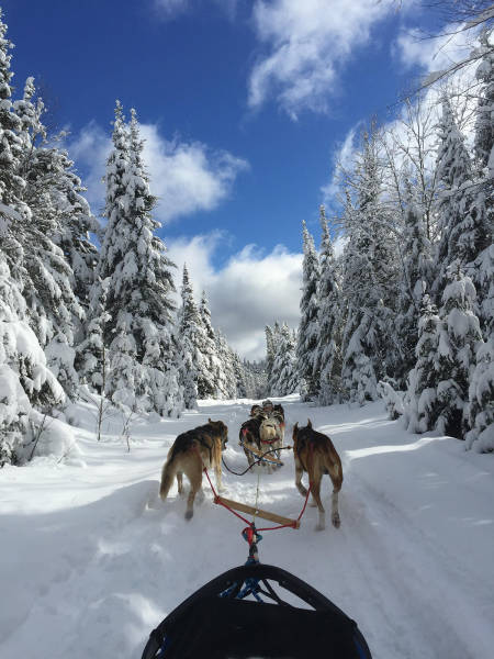 morning picdump 55 pics 24.html - 55 HD Photos | Premium Gallery 2016